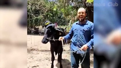 Top New Funniest Comedy Video  Most Watch Viral Funny Video 2023