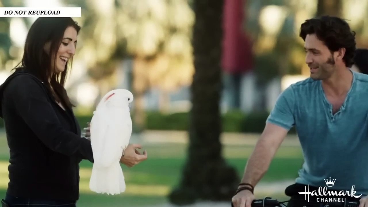 Hallmark Romance Movies (2023) - New Hallmark Romantic Movies 2023