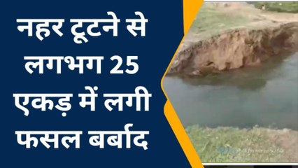 मधेपुरा: पथराहा में नहर टूटने से सैकड़ों एकड़ में लगी फसल हुई बर्बाद, किसानों ने की मुआवजे की मांग