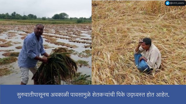 Rain Update: हवामान खात्याकडून चिंता वाढवणारी बातमी, राज्यावर पुन्हा अवकाळी पावसाचे संकट