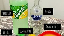 Screwdriver Cocktail | Classic Vodka Screwdriver