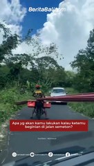 Apa yg akan kamu lakukan kalau ketemu beginian di jalan semeton?