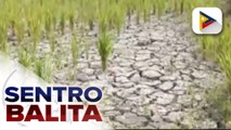 El Niño, posibleng maranasan sa Hulyo-Setyembre at maaaring tumagal hanggang 2024