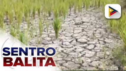 El Niño, posibleng maranasan sa Hulyo-Setyembre at maaaring tumagal hanggang 2024