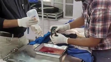 जयपुर जू में सीएमआर का मोर, ऑपरेट कर निकाला 100 ग्राम का ट्यूमर