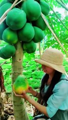 Enjoy beautiful nature with rural life