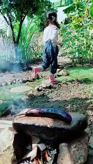 Enjoy beautiful nature with rural life