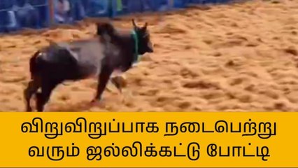புதுகை: முட்டித் தள்ளும் காளைகளை கட்டி அடக்கும் இளைஞர்கள்!