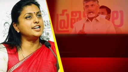 CM Jagan ను వ్యతిరేకిస్తే వారికే నష్టం.. వెన్నుపోటు MLA లపై RK Roja వ్యాఖ్యలు | Telugu OneIndia