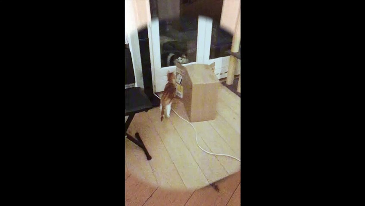 Tsuki et son copain