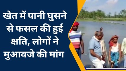 पश्चिमी चंपारण: खेतो में घुसा नदी का पानी,किसान दिखे परेशान, देखिए रिपोर्ट