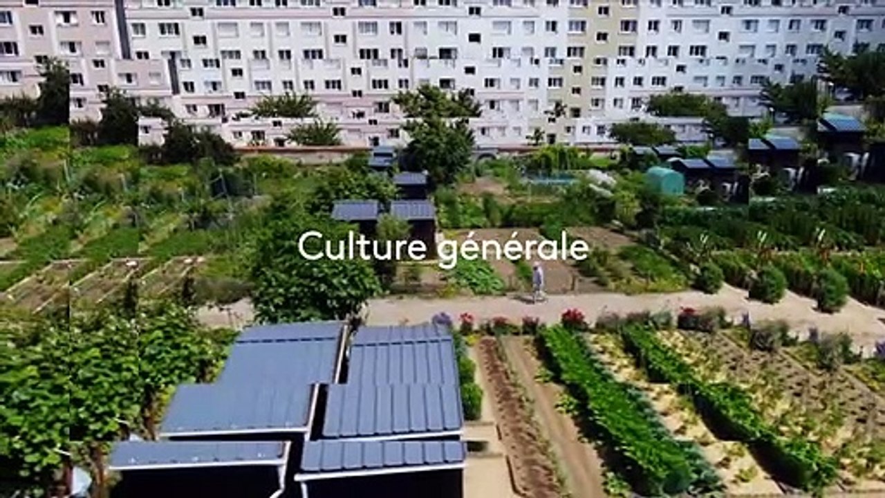 Potagers : si on semait - 27 mars