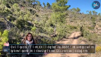 Una diputada del PP advirtió en 2020 del peligro de incendio en el Alto Mijares: «Puro combustible»