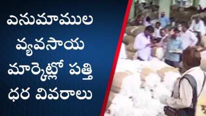 వరంగల్ ఈస్ట్: పడిపోతున్న తెల్ల బంగారం ధర