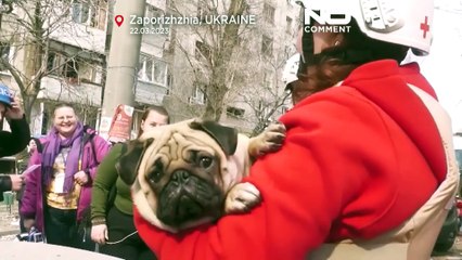 Watch: Fireball erupts after missile hits apartment building in Zaporizhzhia