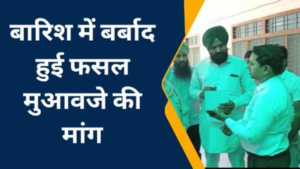 पीलीभीत: बारिश से बर्बाद हुईं फसलें मुआवजे की मांग को लेकर ज्ञापन सौंपा