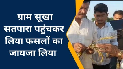 दमोह: जिला पं.अध्यक्ष प्रतिनिधि ने फसलों का लिया जायजा, मुआवजा दिलाने की कही बात