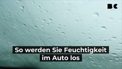 So werden Sie Feuchtigkeit im Auto los