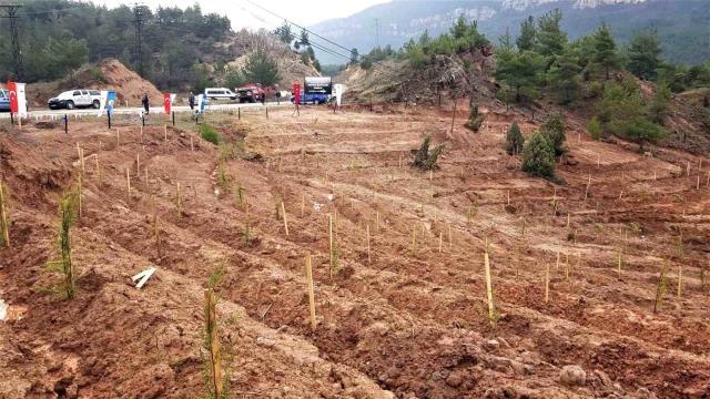 Depremlerde hayatını kaybedenler anısına bin 100 fidan toprakla buluşturuldu