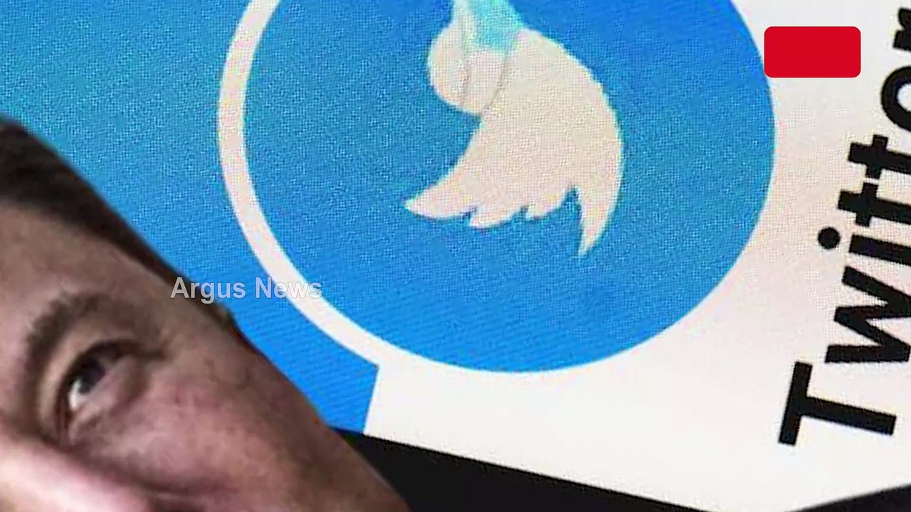 Twitter To Prioritize Replies: Elon Musk