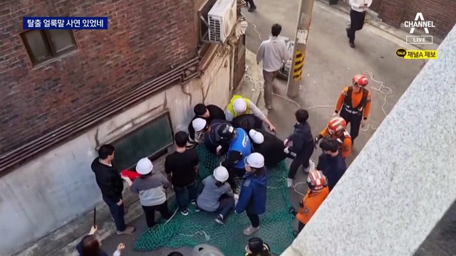 ‘탈주 얼룩말’ 사연 있었네…최근 엄마·아빠 잃고 혼자 돼