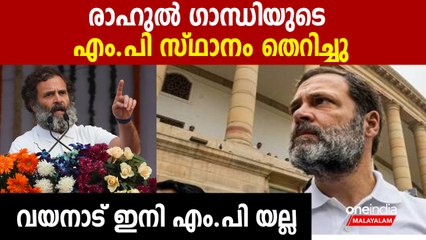 മോദി വിരുദ്ധ പരാമര്‍ശം; രാഹുല്‍ ഗാന്ധി അയോഗ്യന്‍, വയനാട് ഉപതിരഞ്ഞെടുപ്പിലേക്കോ?