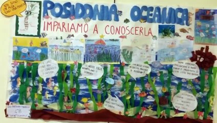 Salute, ambiente e sostenibilità al Sarday di Mondello