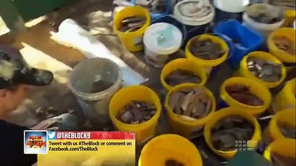 The Block - Se6 - Ep37 HD Watch