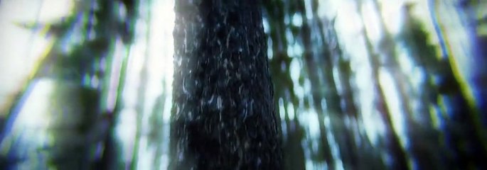 Last Survivors (2021) Watch HD