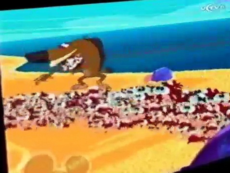 Zig & Sharko Zig & Sharko E016 – The Submarine