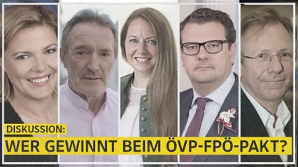 Wer profitiert vom schwarz-blauen Regierungsdeal in St. Pölten?