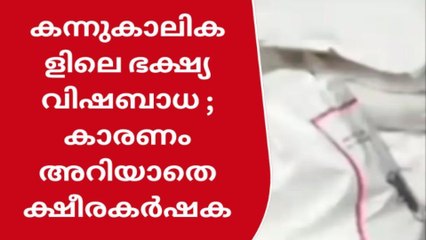 കന്നുകാലികളിലെ ഭക്ഷ്യവിഷബാധ; ക്ഷീരകർഷകർ ആശങ്കയിൽ