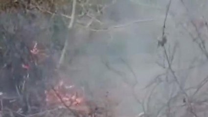 বাঁকুড়াঃ জঙ্গলে ভয়াবহ অগ্নিকাণ্ড,ক্ষতিগ্রস্থ বহু গাছ