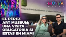 El Pérez Art Museum: Una visita obligatoria si estás en Miami - La Movida Miami