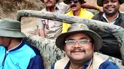 पेंच पार्क पर्यटकों को कर रहा आकर्षित, दिखी पाटदेव बाघिन और शावक