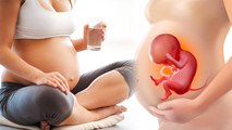 Pregnancy में पानी पीते रहना जरुरी क्यों , प्रेगनेंसी  में कितना पानी पीना सही | Boldsky