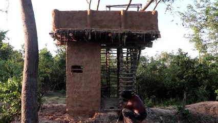 Unbelievable! Build Minority Tree-House and Most beautiful Pool In Forest