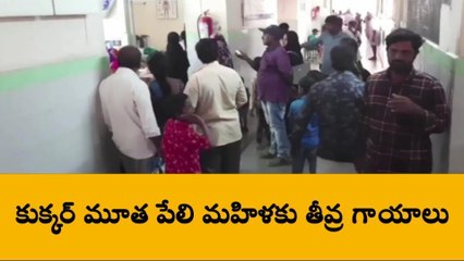 అనంతపురం: పేలిన కుక్కర్... మహిళ పరిస్థితి విషమం