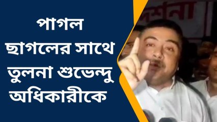 হাওড়া: শুভেন্দুর ২০২২-র তারিখ দেওয়ার মতই ভুলভাল বাকি কথা, দাবি তৃণমূলের