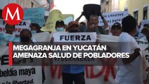 Pobladores de Yucatán han protestado desde 2021 contra una granja porcícola