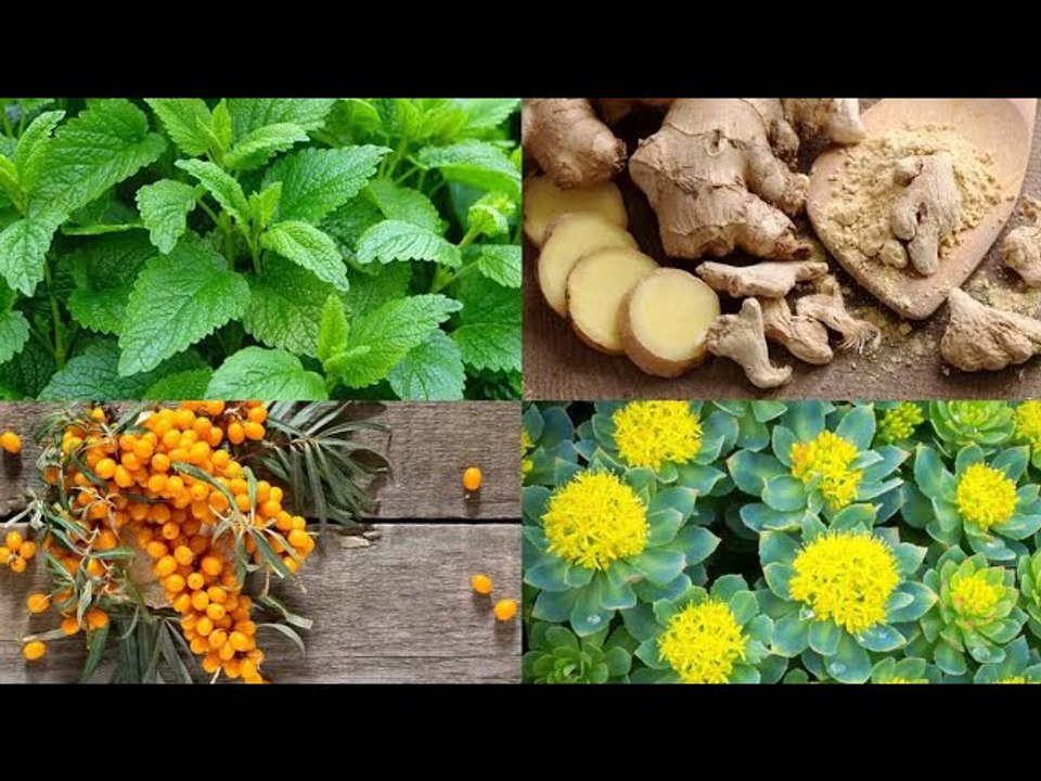 Remèdes et solutions anti-fatigue, les meilleurs traitements naturels pour booster son énergie