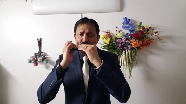 Tumhi Mere Mandir-Film Khandan 1965-Vintage Classic Song on Harmonica Live Performed by Mukund Kamdar