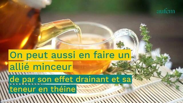 Voici les thés les plus efficaces pour maigrir selon une naturopathe