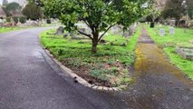Proposals to change a Horsham allotment site into a cemetery