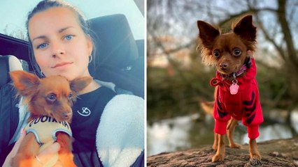 "My Dog Saved My Life!"