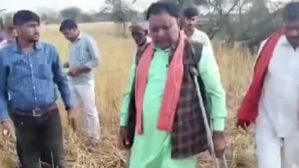 शिवपुरी: ओलावृष्टि से खराब फसलों का राज्यमंत्री ने लिया जायजा, दिया मदद का आश्वासन