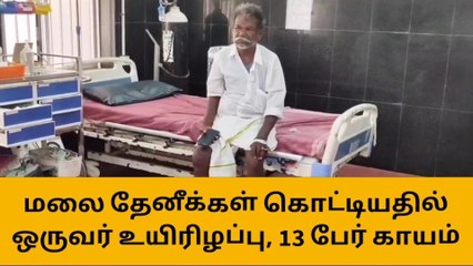 பொன்னமராவதி: மலை தேனீக்கள் கடித்து ஒருவர் உயிரிழப்பு!