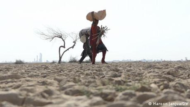 Pakistan women farmers feel the impact of last year's floods