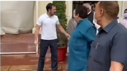মানহানির মামলায় দোষী রাহুল গান্ধী! প্রতিক্রিয়া দিলেন বিজেপি নেতা