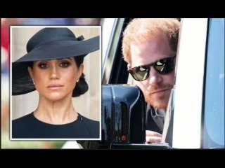 Meghan Markle "avrebbe dovuto avvertire" il principe Harry del rischio visto per uso di droga
